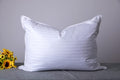 Standard Goose Down Feather Hotel Collection Bed Pillows for Sleeping One Pillow for Back, Stomach or Side Sleepers Stripe White Color
