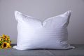 Queen Size Goose Down Feather Hotel Collection Bed Pillows for Sleeping One Pillow for Back, Stomach or Side Sleepers Stripe White Color