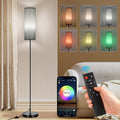 FRIDEKO HOME Gray Floor Lamps for Bedroom, Dimmable Colors Temperature & Brightness, Plug in Modern Floor Lamps for Living Room, Tall…