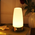 WRalwaysLX Retro LED Night Light for Home, Small Lamp with Wireless PIR LED Motion Sensor Indoor/Outdoor, Battery Operated Lamp for…
