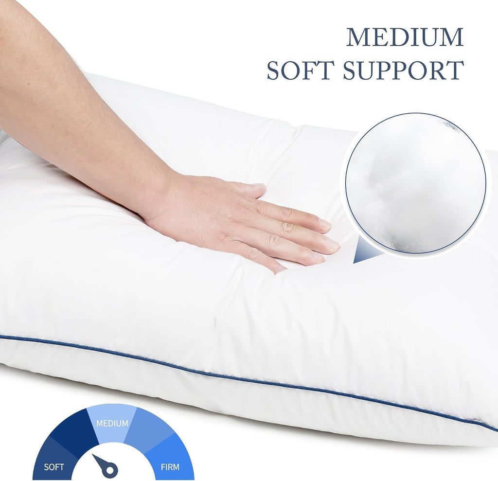 Silui Flat Soft Thin Pillows Queen Size Set of 2 Pack Bed Pillow with Down Alternative Fill for Side Back Stomach Sleepers, 20x30 Inches, W…