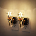 JandCase Night Light, 2Pack Night Lights Plug into Wall, Dimmble Floral Glass LED Nightlight, 0-100 LM Flower Nightlights, Dusk to Dawn…