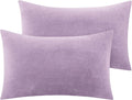 Bedelite Flannel Pillowcases Standard Set of 2, Super Soft Fleece Pillow Case Cover with Zipper for Bedroom, Sofa, Couch, Luxury Cozy Fuzzy…