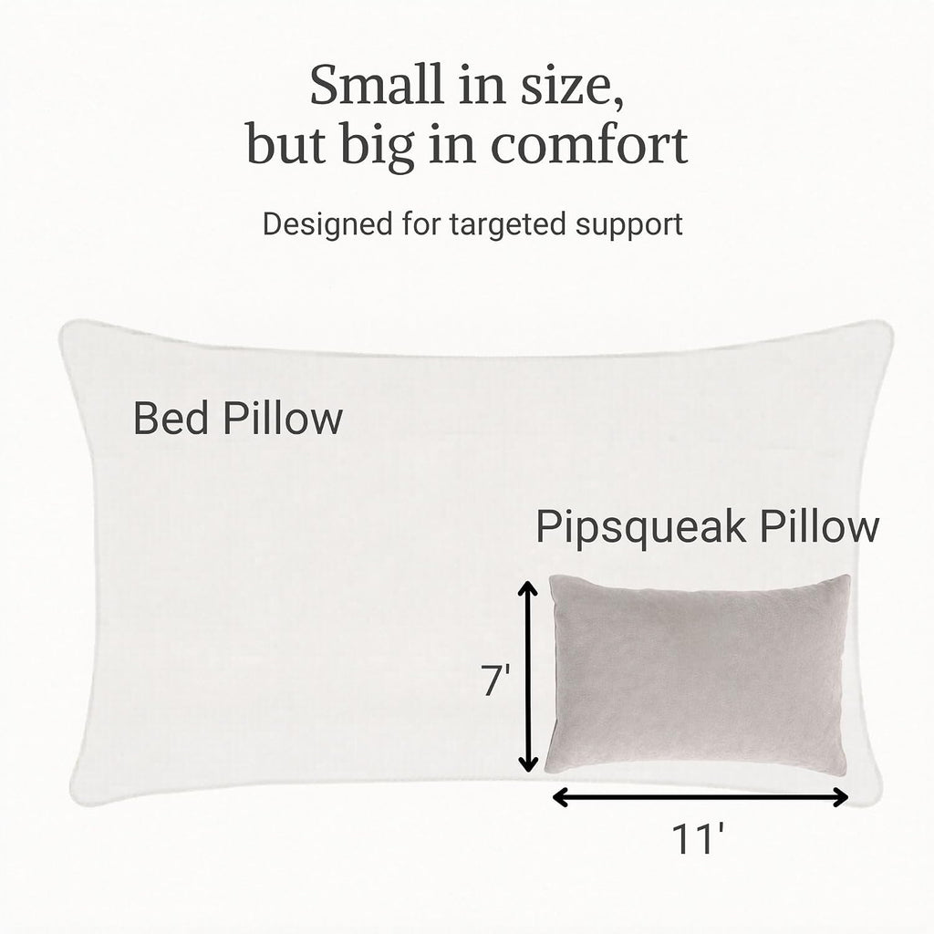 Pipsqueak Small Pillow - Mini 11 x 7 inches - Tiny Pillow for Travel, Dogs, Toddlers, Kids, Lumbar, Knees and Neck - Gray