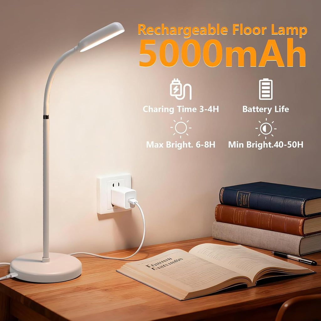 Cordless Portable Floor Lamp, Adjustable Gooseneck with Touch Switch, 3 Color Modes, Lightweight & Rechargeable for Living Room, Bedroom…