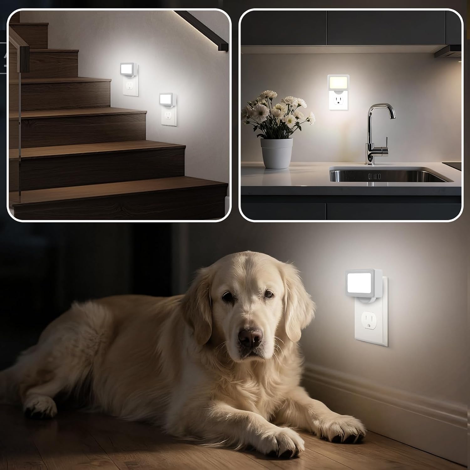 GODUORA 4-Pack LED Night Light Plug in with Adjustable 180° Swivel Head, Dusk to Dawn Auto On/Off, Daylight 5000K 100LM, for Kitchen…