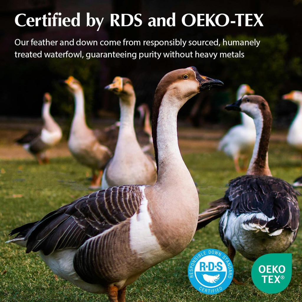 PacificCoast Pacific Coast Firm Bed Pillow, Luxury Hotel Collection Goose Feather and Down Pillow for Sleeping, Standard Size with Gusset D…