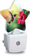 Hummingbird Flower Plug in Star Night Light, Night Light with Sensor for Kids Nursery Bedroom, Decorative Soft Glow Lamp for Hallway…