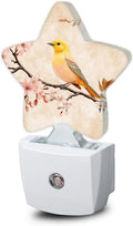 Snowmolle Bird Vintage Nightlight, Pink Cherry Blossoms Star Night Lights Plug into Wall Decorations for Bedroom Bathroom, Dusk to Dawn Senso…
