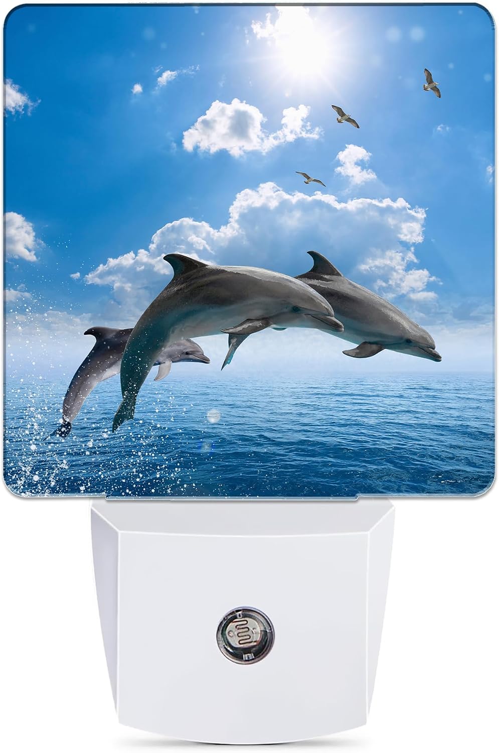 Dolphins Seagulls Night Light, Marine Wildlife Night Lights Plug into Wall Decor for Bedroom, Bathroom, Dusk to Dawn Sensor Nightlights…