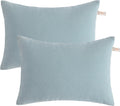 BEDSUM Toddler Pillows, 13x18 Ultra Soft Microfiber Travel Pillow for Sleeping - Small Pillows for Kids Daycare, Flight and Neck Support…
