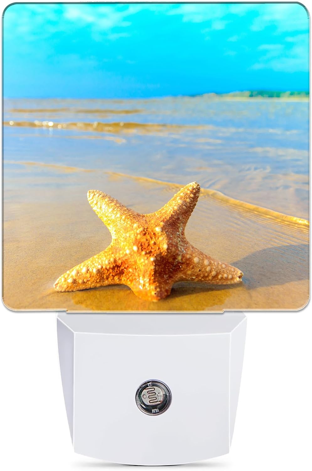 Yellow Starfish on Beach Night Light, Dusk to Dawn Smart Sensor Nightlight for Bedroom Bathroom Kitchen Hallway Stairs Hallway, Plug-in…