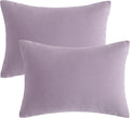 BEDSUM Toddler Pillows, 13x18 Ultra Soft Microfiber Travel Pillow for Sleeping - Small Pillows for Kids Daycare, Flight and Neck Support…
