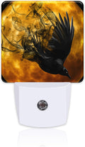 Crow with New Moon Night Light Plug into Wall, Flying Crow Dusk to Dawn Night Light,0.5w Energy Saving Sleep Friendly Nightlights for…