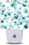 Night Light, Green Eucalyptus Night Lights Plug into Wall Decor for Bedroom Bathroom Hallway Kitchen, Dusk to Dawn Sensor Gift for Women…