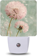 Vintage Pink Dandelion Night Lights Plug into Wall, Night Light with Dusk to Dawn Sensor for Bedroom Bathroom Kitchen Hallway Stairs…