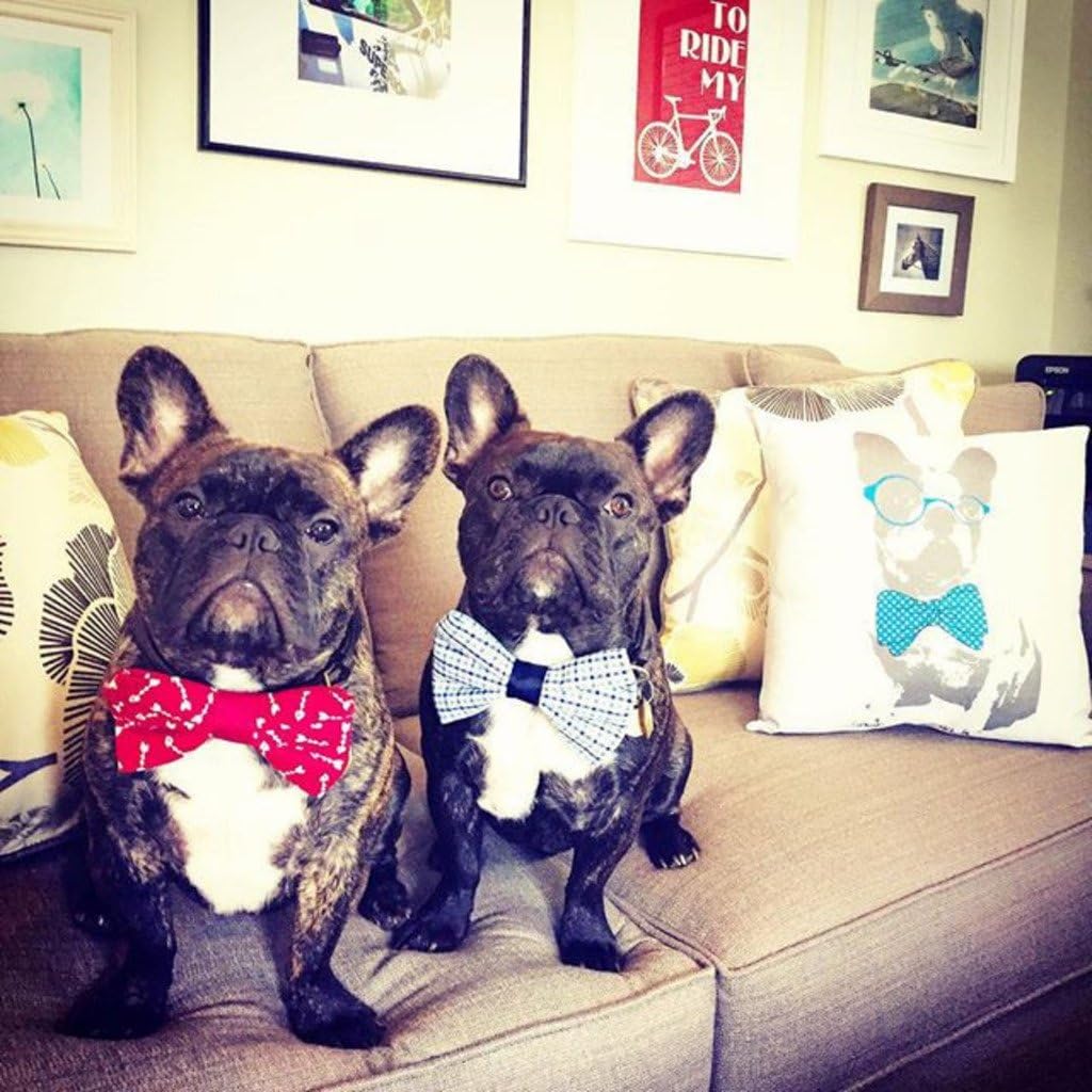Shop&Three Custom Design Photos or Text Outdoor/Indoor Throw Pillowcase, Personalized Pet Photo Pillow, Love Photo Throw Pillowcases…
