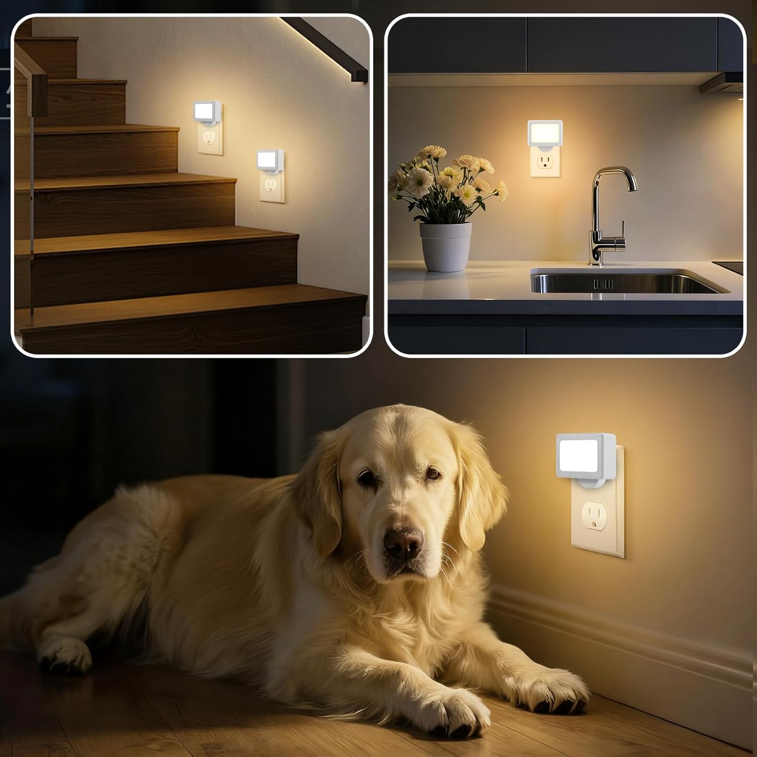 4 Pack Night Light Plug in Wall with Adjustable Direction, Dusk to Dawn Auto On/Off with Light Sensor, Soft White 2700K 100LM, Nightlight…