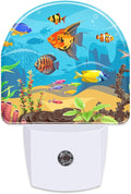 Colorful Fish and Marine Corals Night Light Plug into Wall, Beautiful Underwater Ocean World Dusk to Dawn Night Light, 0.5w Energy Saving…