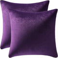 Dezene Euro Sham Covers 24x24 Purple: Pack of 2 Cozy Soft Velvet Square Modern Luxury Decorative Throw Pillow Cases for Sofa Couch Living R…