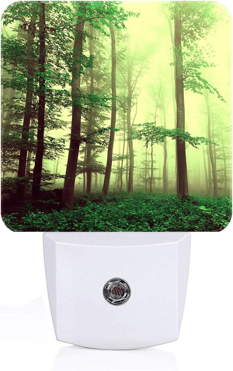 Misty Forest Night Light, Plug-in Nightlights Auto Sensor Night Lamp Dusk to Dawn Lamp Home Decor for Nursery Children Girls Boys