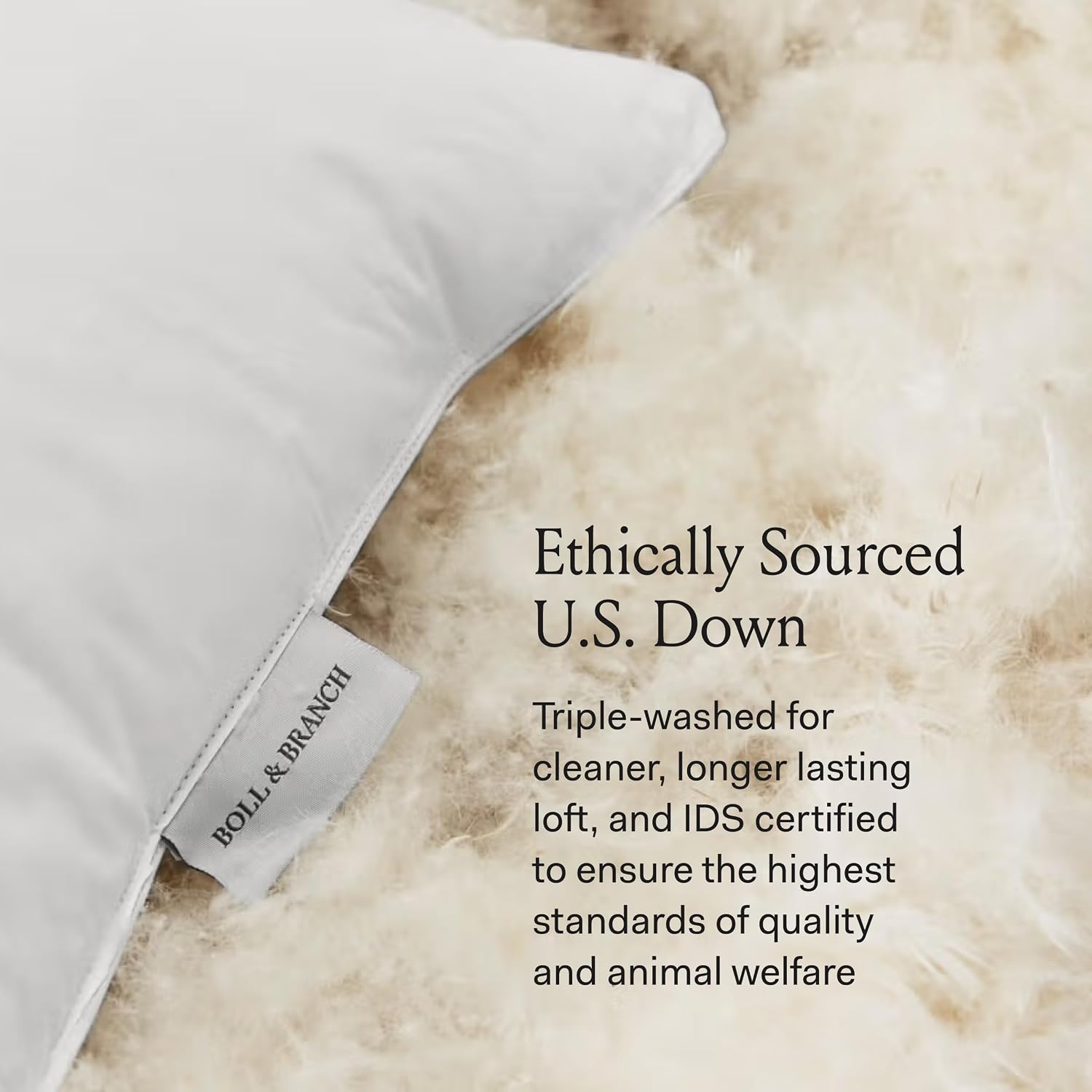 BollBranch BOLL & BRANCH Down Chamber Pillow - Medium, King - Naturally Cooling Shell - Comfort, Superior Support - Cruelty-Free IDS Certif…