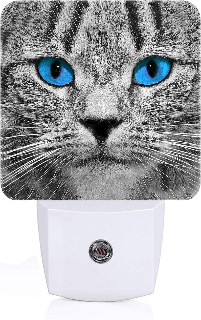 Blue Eyes Cat Night Light, Plug Into Wall with Dusk to Dawn Light Sensors, Warm Nightlights for Bedroom, Bathroom, Hallway, Kitchen, Gifts…