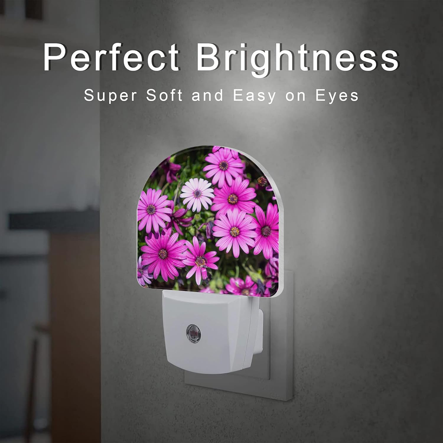 Purple Daisies Flowers Night Light, Beautiful Blooming Daisy Dusk to Dawn Night Light Plug in,0.5w Energy Saving Sleep Friendly…