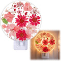 Glooglitter Pressed Flower Night Light Plug in - Handmade Dried Floral Wall Night Light, Soft Glow Decorative Nightlight for Hallway Bedroo…