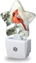 Cardinal Bird Decorative Nightlight Plug in Wall, Christmas Star Shaped Night Light with Built in Sensor for Home Decor, Kitchen Hallway…