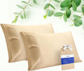 Stnomyhome Eucalyptus Tencel Cooling Pillowcase 2 Pack Queen Champagne | Moisture Wicking for Night Sweats | 3X Faster Drying | Oeko-TEX Ce…