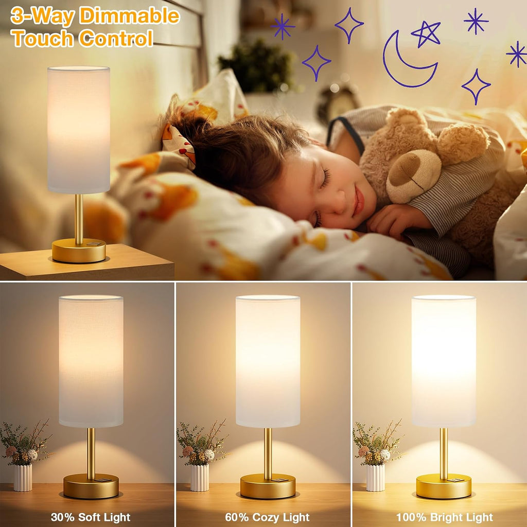 Dicoool Small Touch Bedside Lamp with USB - 3 Way Dimmable Table Lamp for Bedroom, Nightstand Lamp with Gold Charging Station for Desk…
