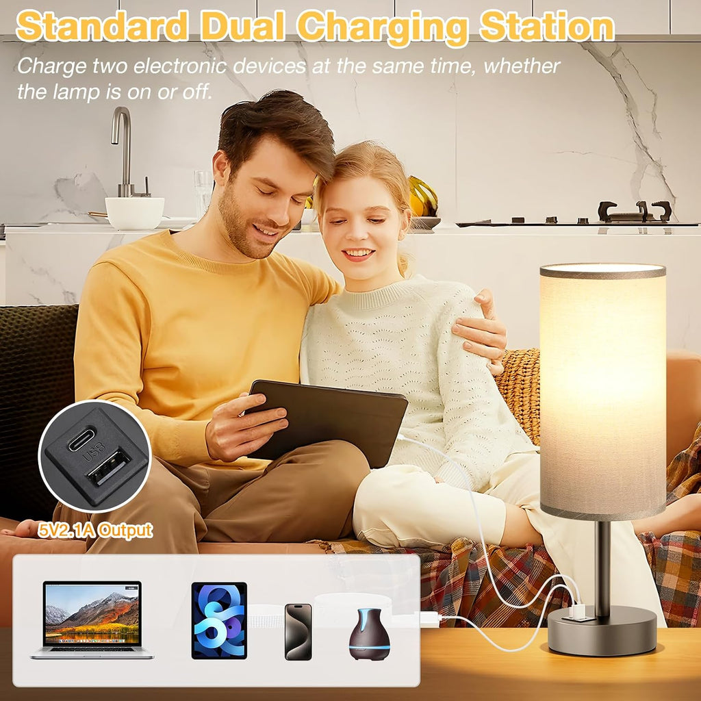 Dicoool Small Touch Bedside Lamp with USB - 3 Way Dimmable Grey Table Lamp for Bedroom, Nightstand Lamp with Charging Station for Desk…