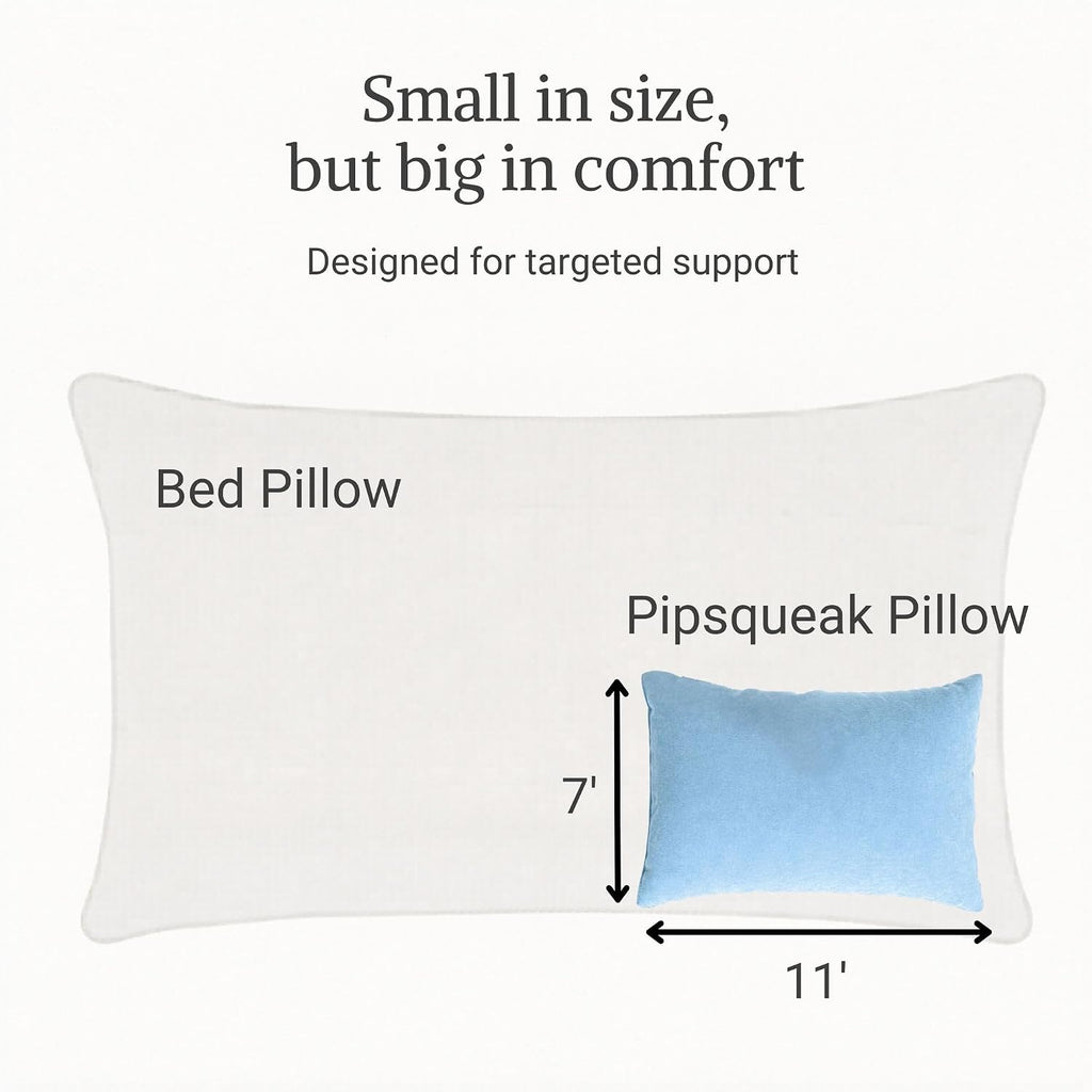 Microfiber Pipsqueak Pillow - Small, Mini - 11 x 7 in - Tiny Pillow for Travel, Cars, Airplanes, Camping, Dogs, Toddlers, Kids, Lumbar…