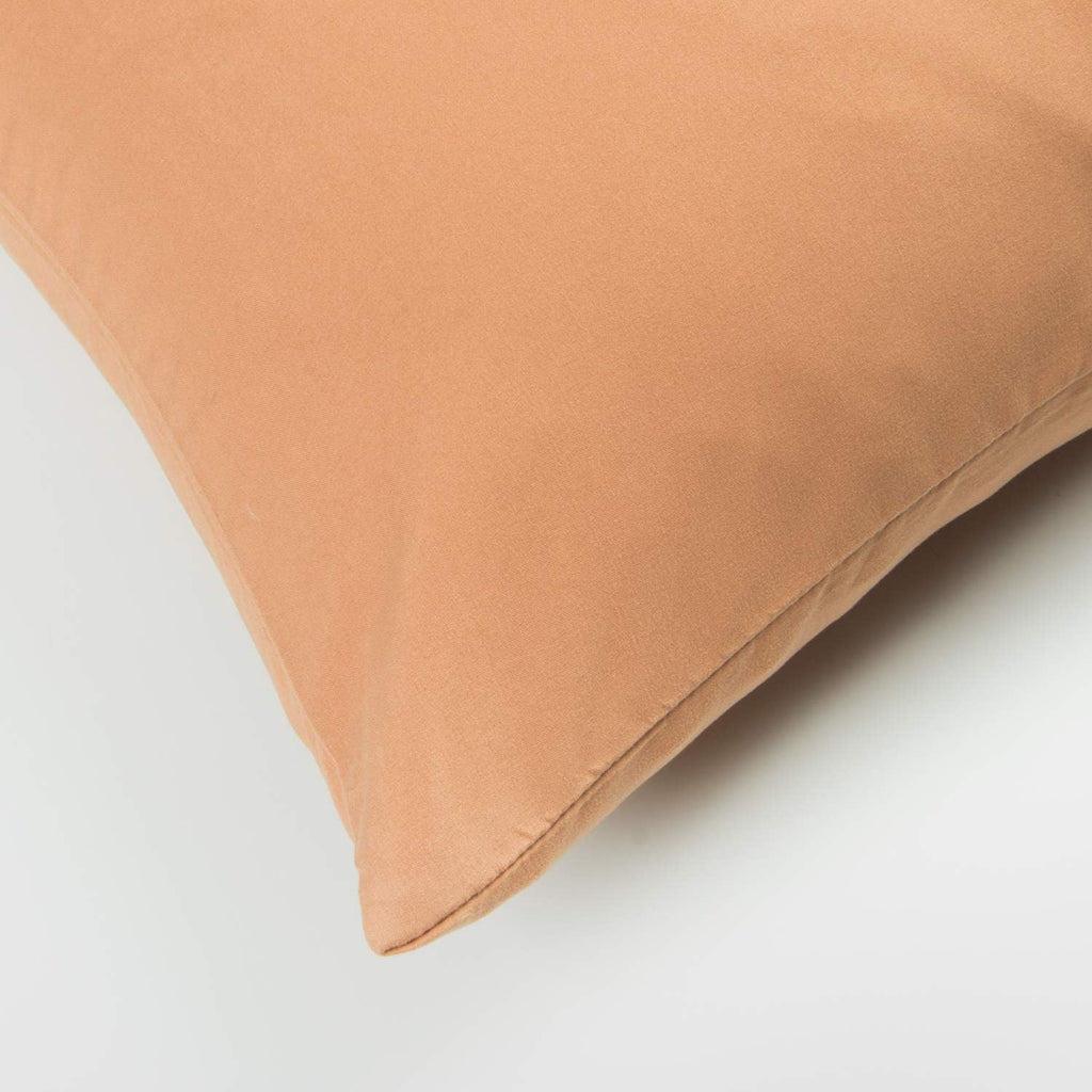 FLXXIE Pillow Cases Queen, Soft Microfiber Pillow Covers with Envelope Closure, Wrinkle Resistant Pillowcases, 2 Piece Set, 20x30, Tan