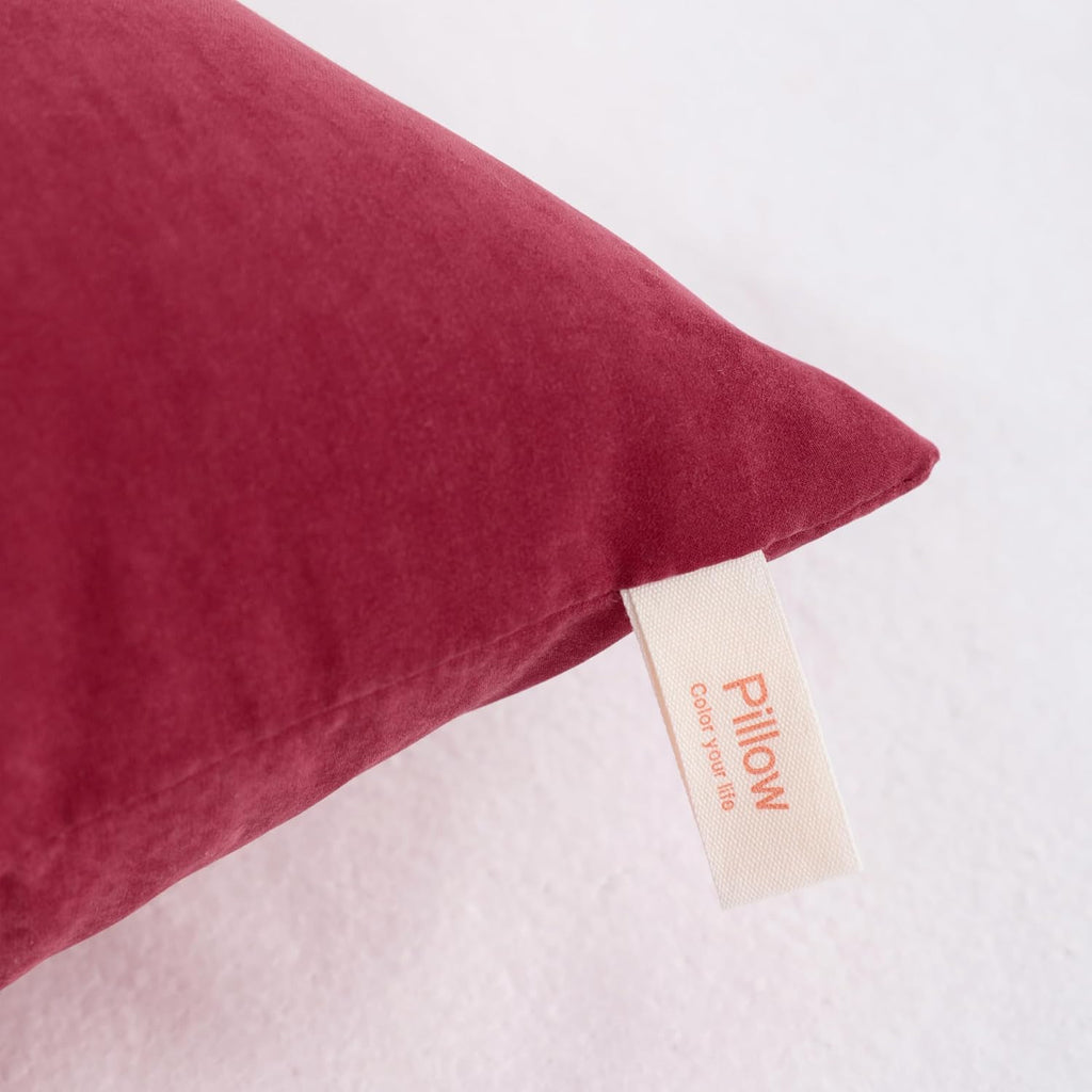 Ntbay Toddler Pillows, Down Alternative 13"x18" Pillows, Machine Washable - Soft and Breathable Travel Small Pillows for Sleeping, Ideal fo…