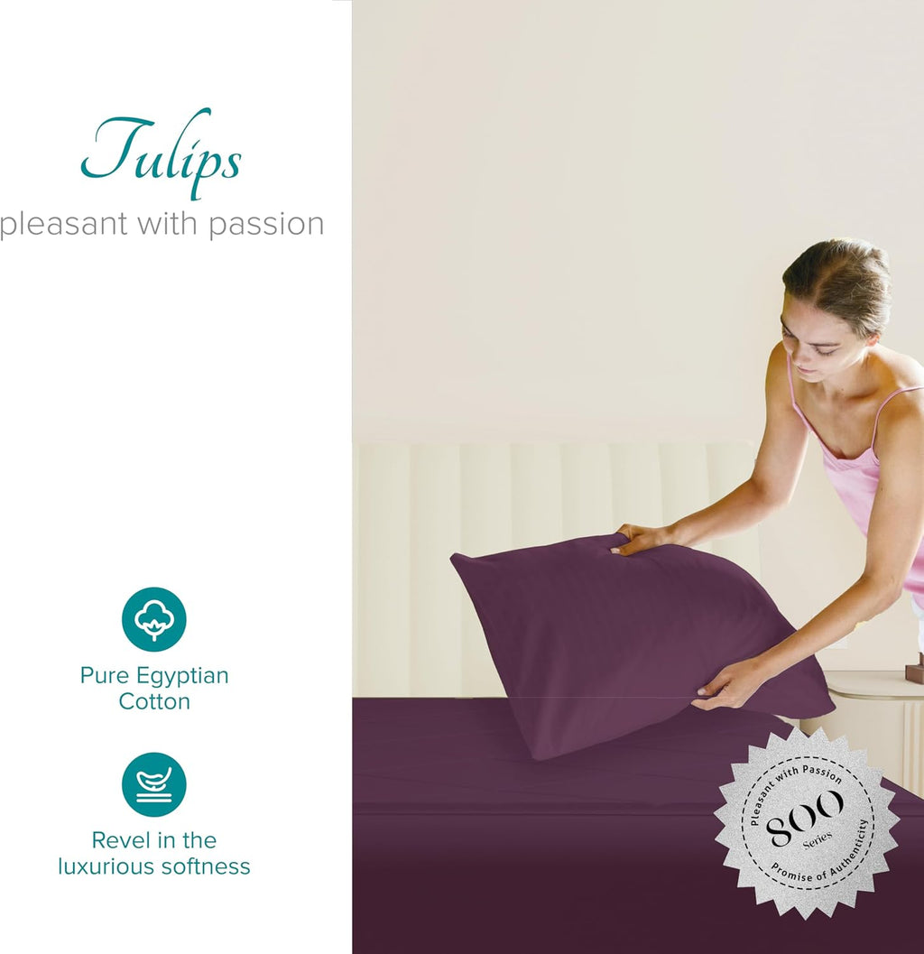 Carressa Linen Luxury Egyptian Cotton King Pillow Cases Set of 2-800 Series Tulips Collection Pillowcases for Sleeping (Plum), Soft…