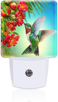 Hummingbird with Flowers Night Light for Kids, Red Tropical Floral Leaves Hummingbird Night Light Plug in with Dusk to Dawn Sensor,0.5w…