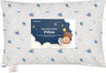 Toddler Pillow with Pillowcase - 13x18 My Little Dreamy Kids Travel Bed Pillows for Sleeping, Organic Cotton Small Pillowcase, Soft &…