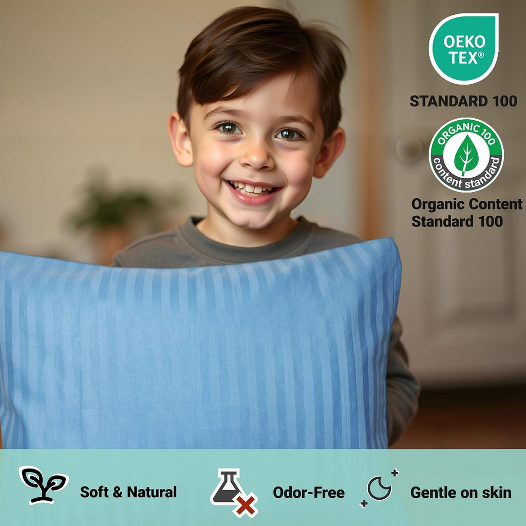 ZPECC-ABrandThatHasBeenFocusedOnBeddingFor20Years ZPECC Toddler Pillow with Pillowcase 2 Pack - 13x18 Organic Cotton Hypoallergenic Kids Pi…