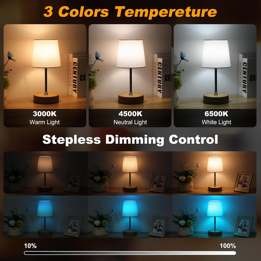 Ascher Small Bedside Table lamp Set of 2, RGB Color Changing Lamps, 3 Color Temperatures, Stepless Dimmable, Nightstand Lamp with USB C+A…