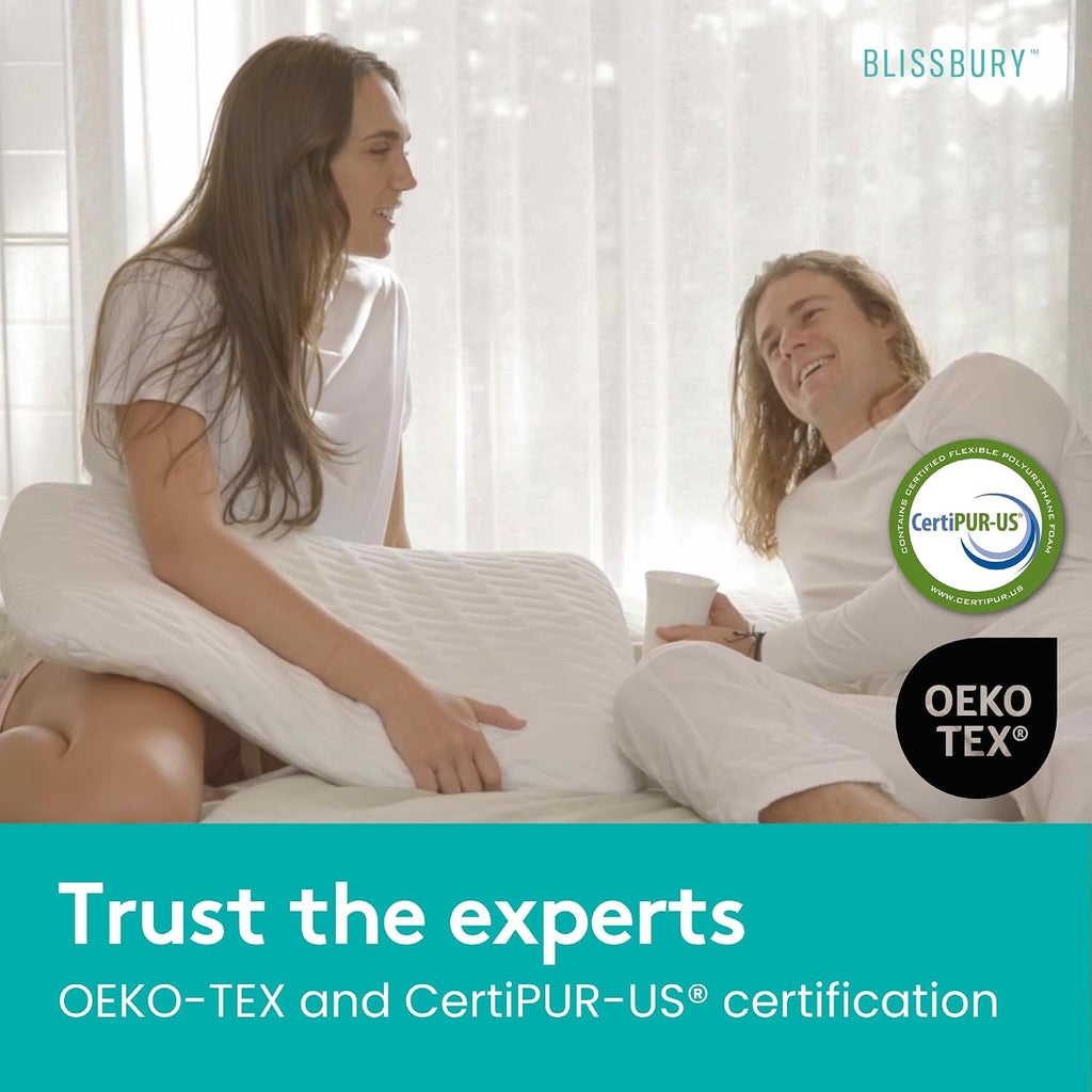 BLISSBURY Cooling Memory Foam Pillow, 2.6 Inch Thin, for Stomach & Back Sleeper, Queen Size, Removable Cool-Tech Cover, CertiPUR-US…