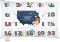 Toddler Pillow with Pillowcase - 13x18 My Little Dreamy Kids Travel Bed Pillows for Sleeping, Organic Cotton Small Pillowcase, Soft &…