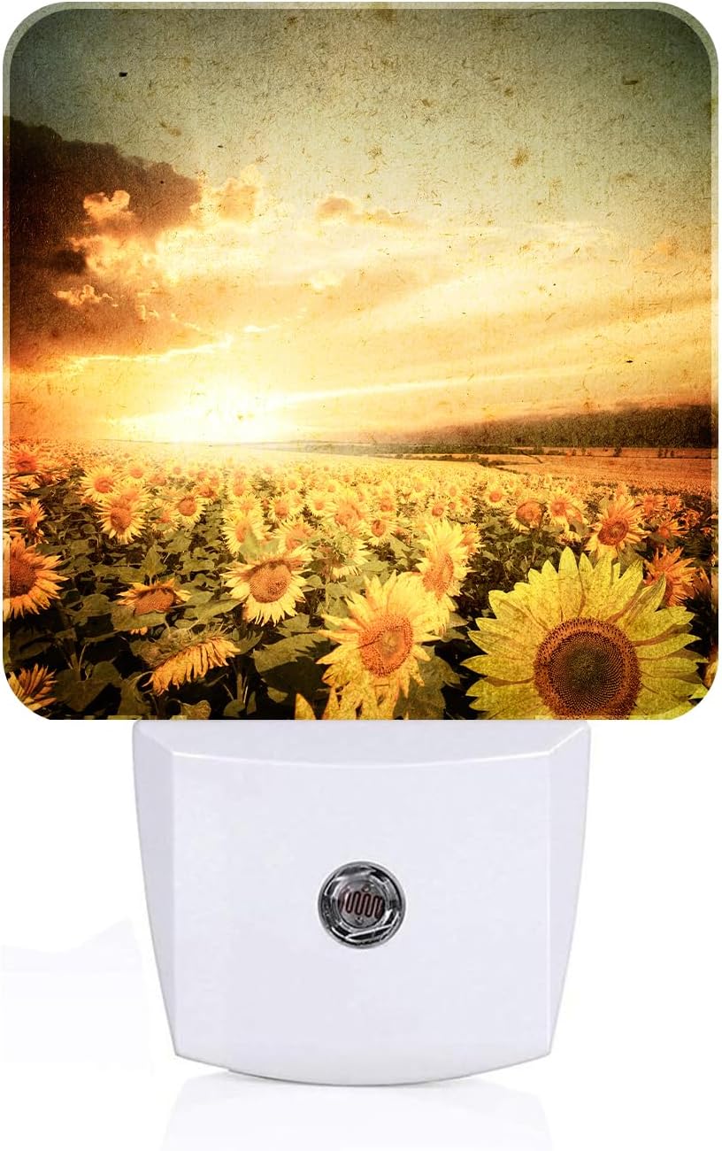 Sunflower Field at Sunset Night Light, Plug Into Wall Decor for Stairway, Hallway, Kitchen, Dusk to Dawn Sensor Nightlights for…