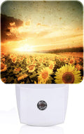Sunflower Field at Sunset Night Light, Plug Into Wall Decor for Stairway, Hallway, Kitchen, Dusk to Dawn Sensor Nightlights for…