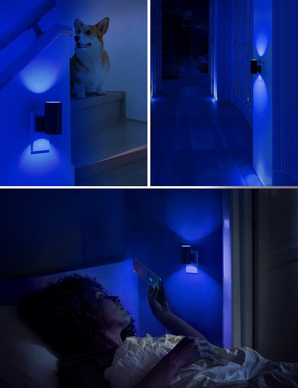 L LOHAS LED Calm Blue Night Light, Night Lights Plug into Wall, Dimmable Nightlight with Light Sensor, LED Nightlights for Bluey Home…