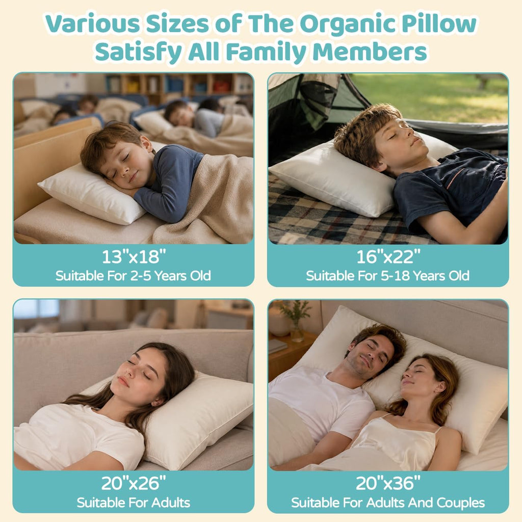 Organic Toddler Pillow with Pillowcase - 13x18 Toddler Pillow with 100% Organic Cotton Shell, Adjustable Loft Organic Kid Plilow, Machine…