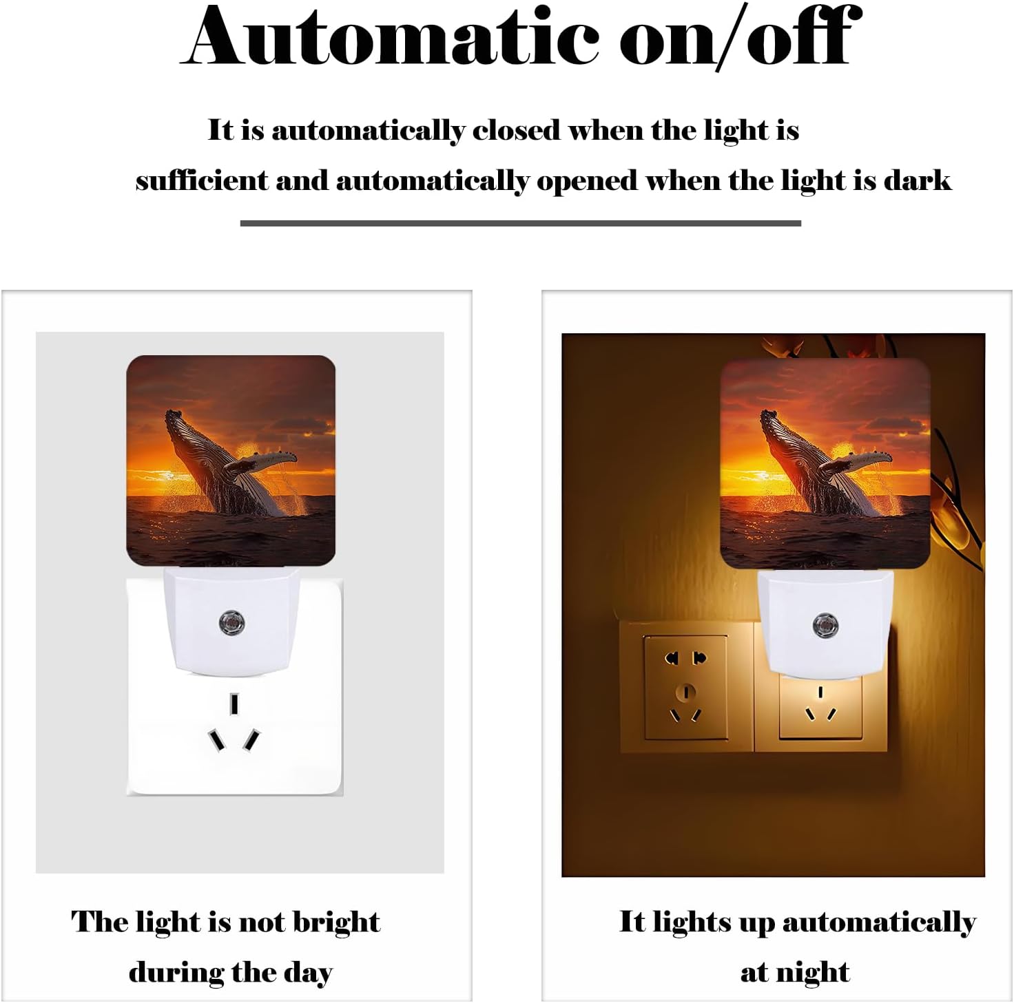 Sunset Humpback Whale Night Light, Plug Into Wall for Boys Girls Bedroom Decorative Square Night Light Lamp 0.5w Sleep Friendly