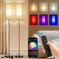 FRIDEKO HOME 2 Pack Floor Lamps for Living Room, Dimmable Colors Temperature & Brightness, Modern Floor Lamp with Remote, Tall Standing…
