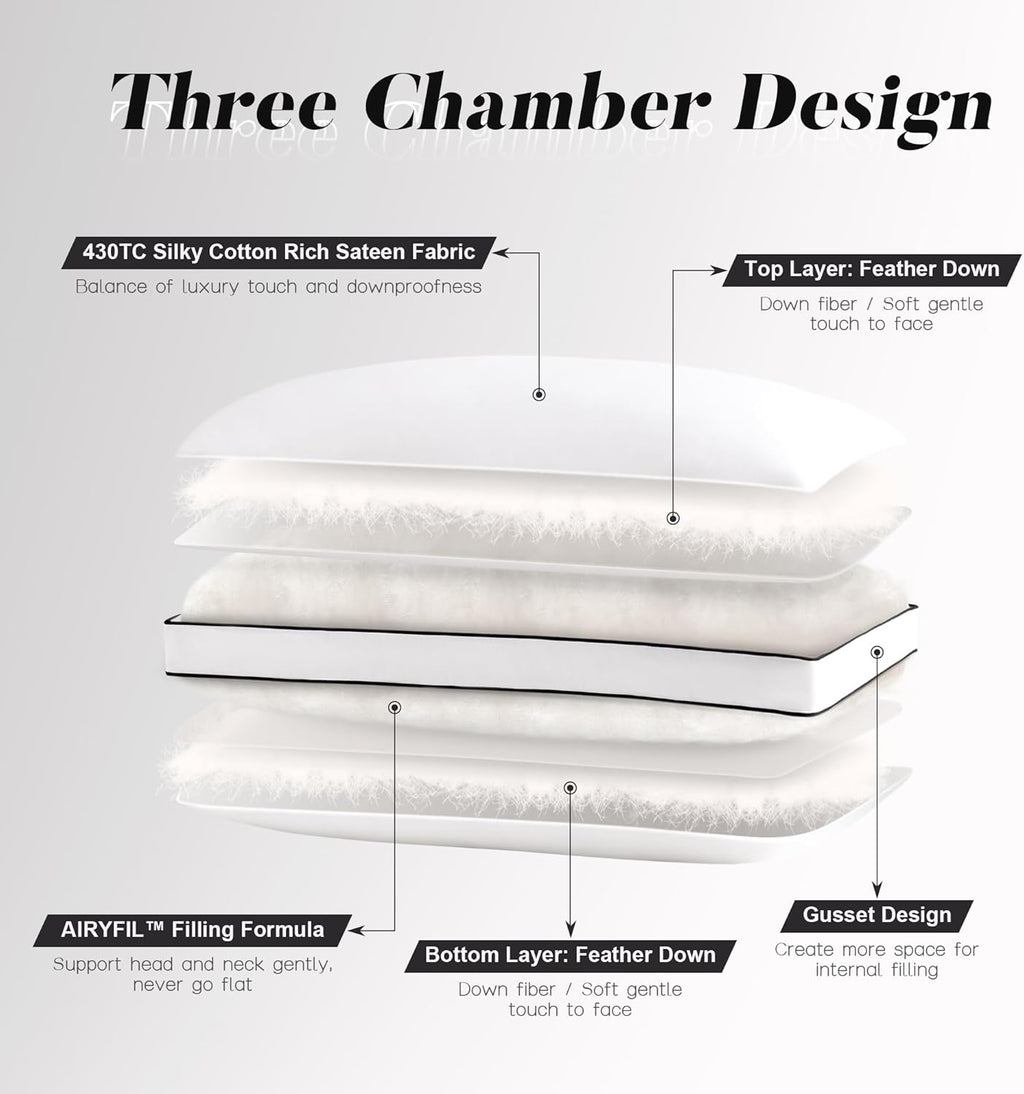 DOWNSTORIA Feather Down Pillows King Size Set of 2 with Gusset, Luxury Hotel Collection Bed Pillow 2 Pack, Down Surrounded Pillows for…
